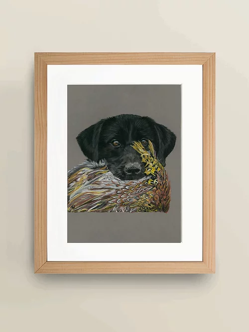 A4 'Labrador with catch' Giclée Print