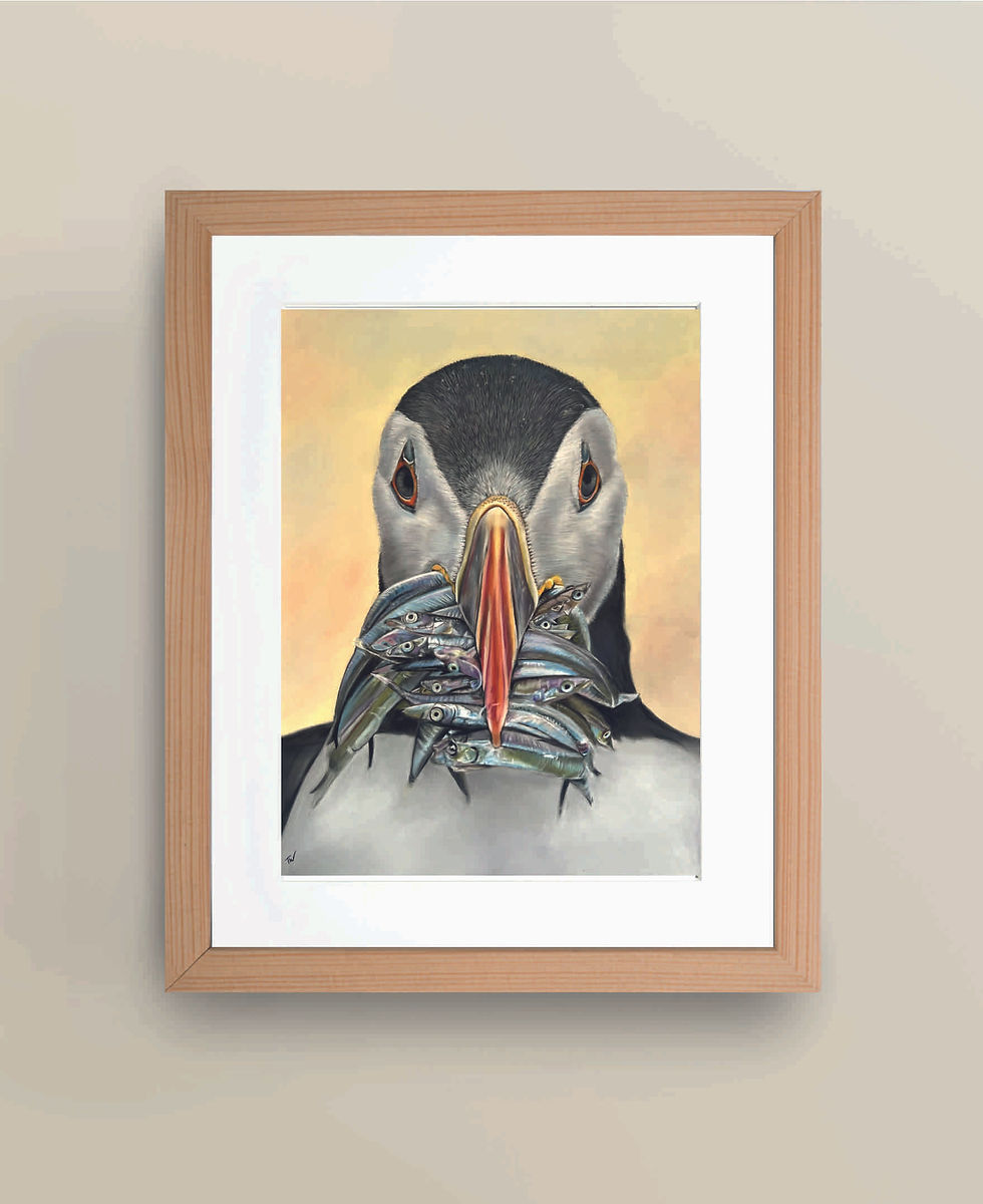 'The Fisherman' A4 Limited Edition Giclee Print