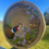 Thumbnail: Pheasant and Wren Platter