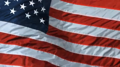 USflag-Troop531.gif