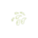 Droplets -2.png
