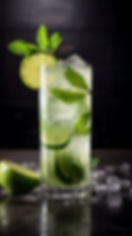Elite Mojito.JPG