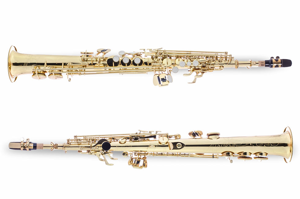 Thomson Musical Instruments- TWD-SSX@1.jpg