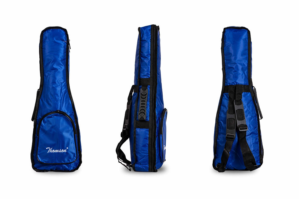 Thomson Musical Instruments-TH-23BL@1.jpg