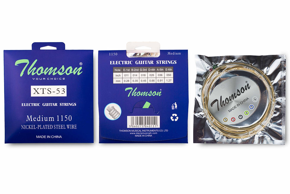 Thomson Musical Instruments-XTS-53@1.jpg