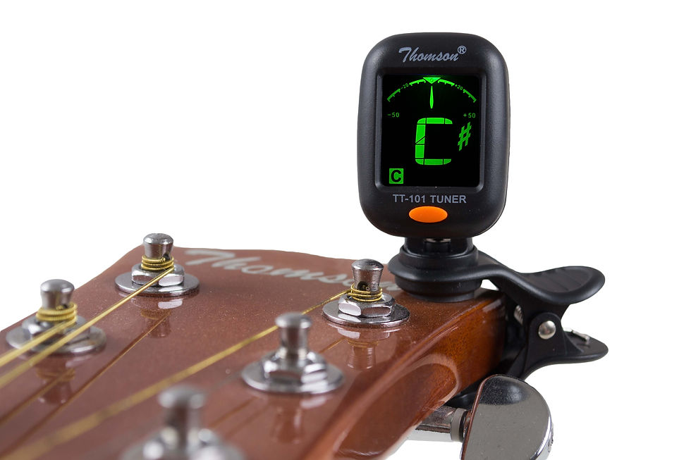 Thomson Musical Instruments-TT-101_1.jpg