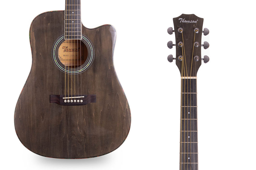Thomson Musical Instruments-TS-341_1