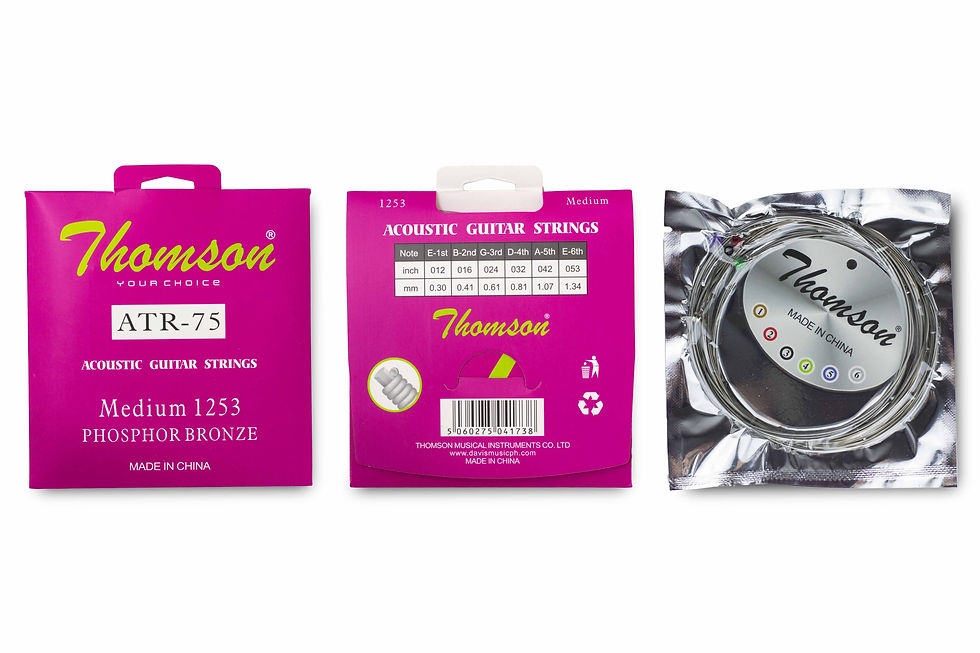 Thomson Musical Instruments-ATR-75@1.jpg