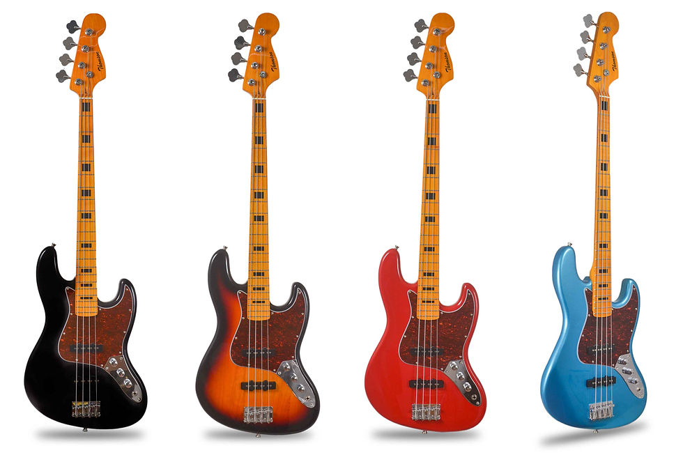 Thomson Musical Instruments-TJB101_0