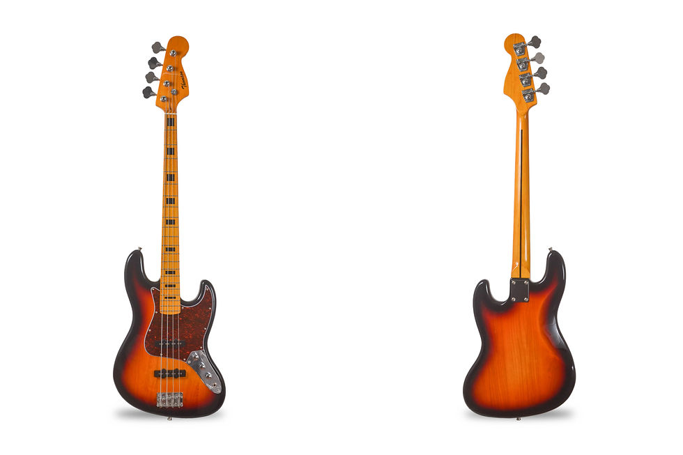 Thomson Musical Instruments-TJB101-SB_1