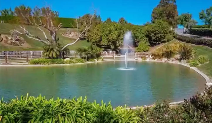 5530 Greentree Dr pond.jpg