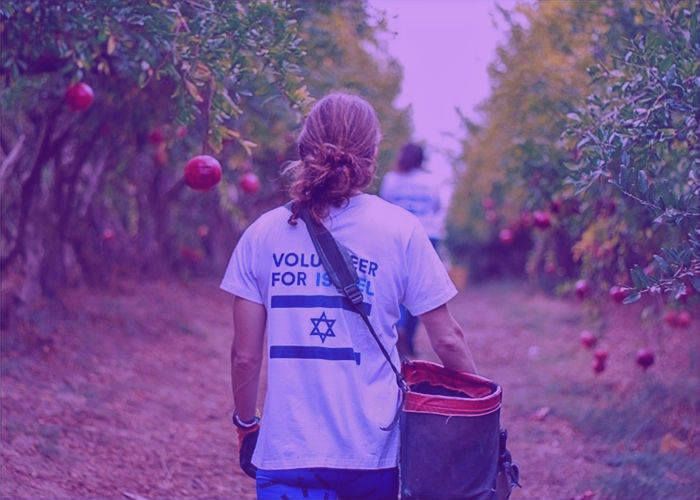 volunteerforisrael.featimage.jpg