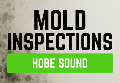 mold inspection mold testing indoor air quality hobe sound florida