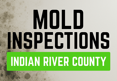 mold inspection mold testing indoor air quality indian river county florida