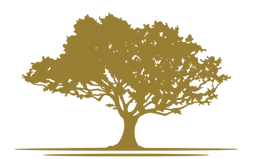 Summit (3)_edited.png