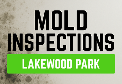 mold inspection mold testing indoor air quality lakewood park florida