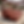 STEEL.png