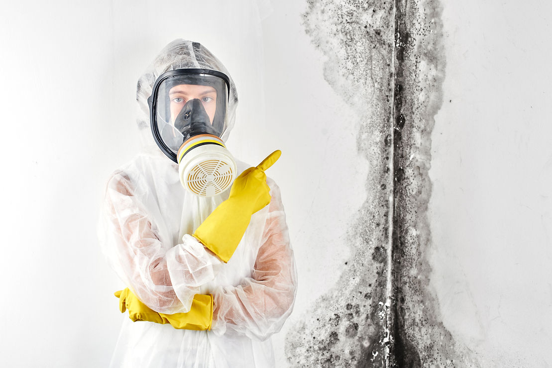 mold-inspection-services.jpg