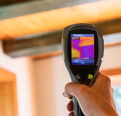 instascope pointing during a mold inspection