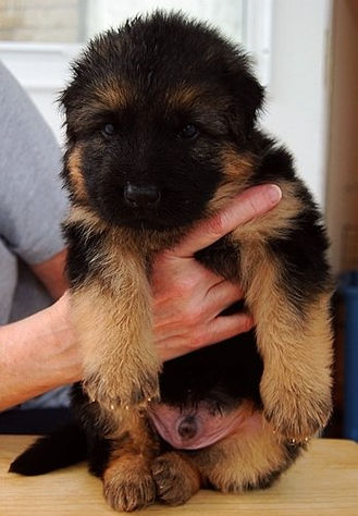 Black Boy 4wks 2.jpg