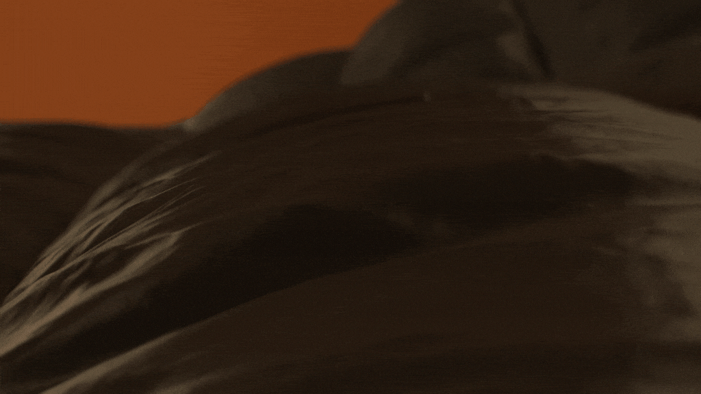 LUL_DWN_master_1921.gif