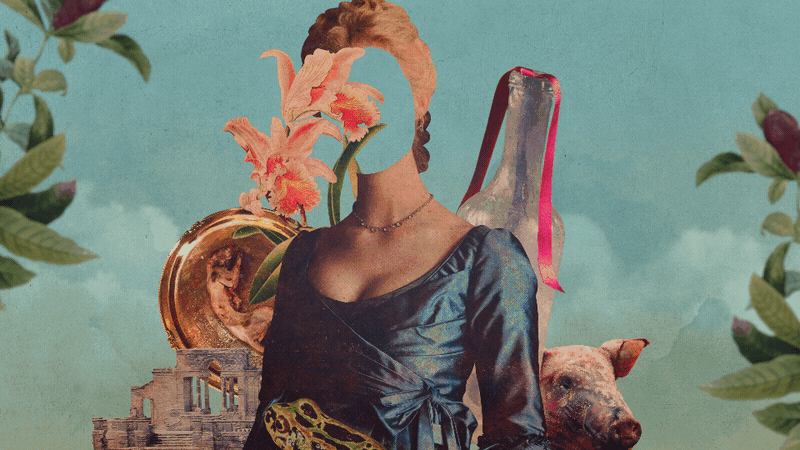 Stills_1.gif