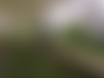 Yaşam Vadisinde Hayat Var