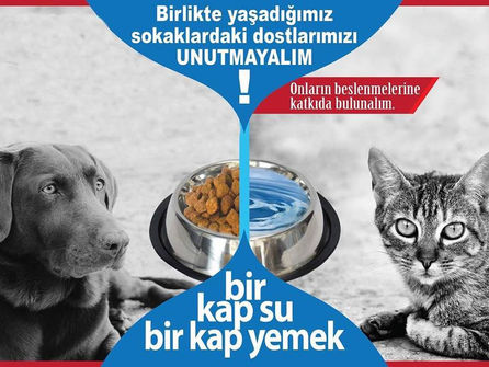 Doğadaki Dostlarımız