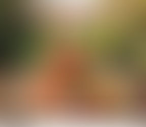 Dünya Gıda Günü Kutlu Olsun