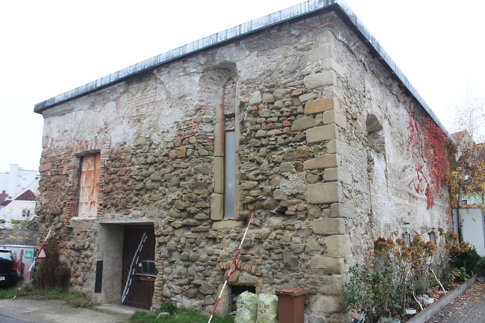 Foundation visits Korneuburg in Austria