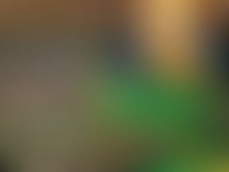 Brasil quer mulher latino-americana no comando da ONU