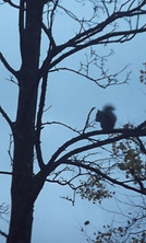 DSCF5026.JPG
