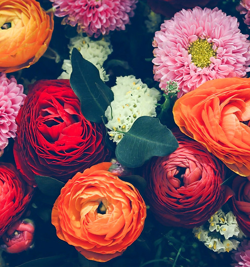 Colorful%20Flowers_edited.jpg