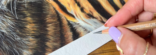 Limited Edition Prints | Anna Reed Fine Art