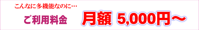 月額5,000円