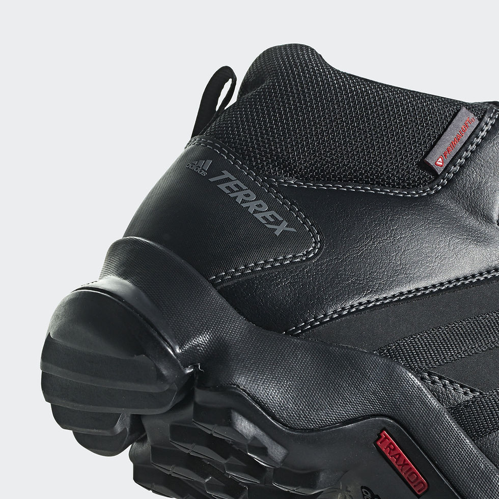 Миниатюра: Adidas TERREX AX2R BETA MID CLIMAWARM S80740