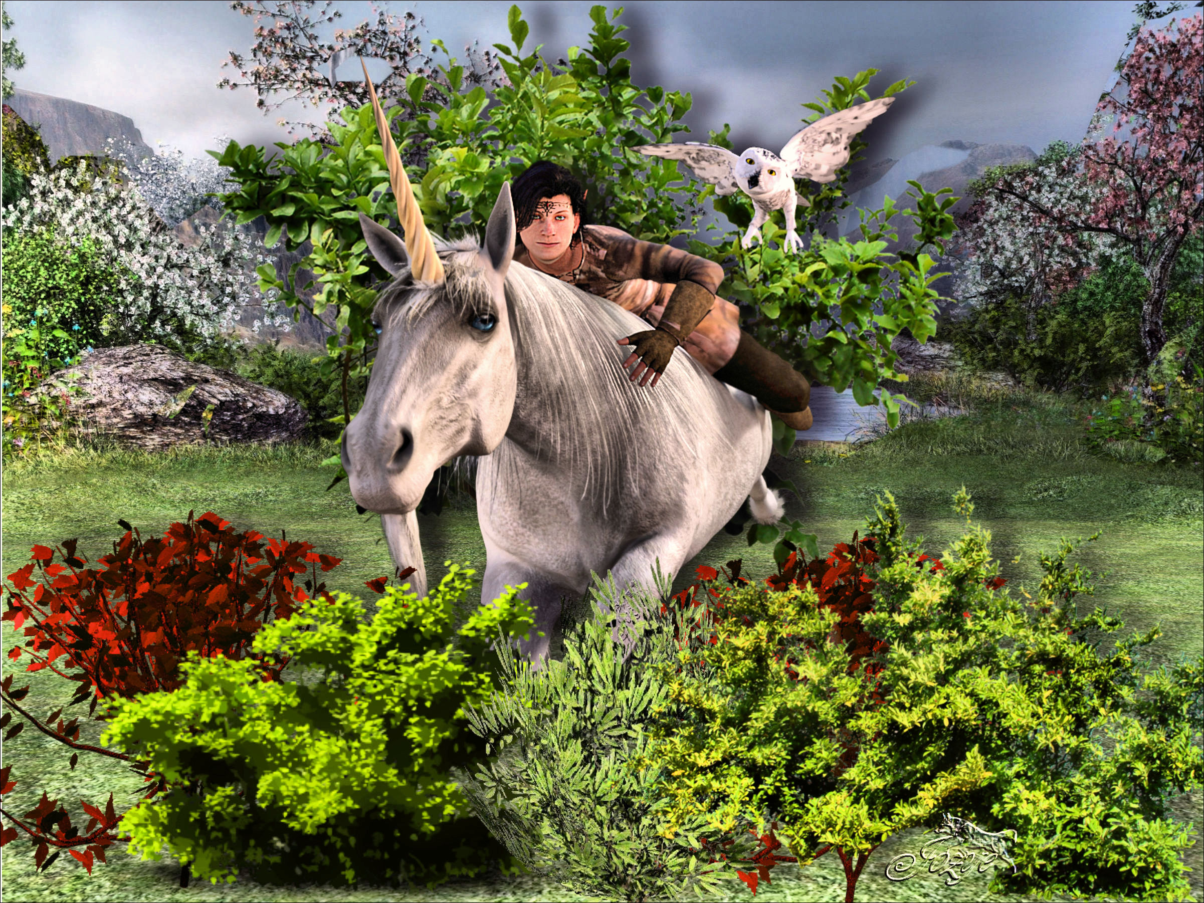 PAYSAGE LICORNE PRINCE ET DAME BLANCHE-LUM
