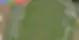 VineyardNDVI.webp