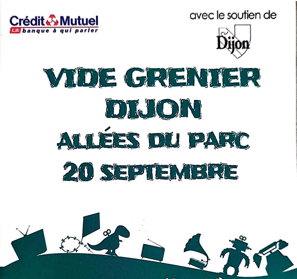 VIDE GRENIER DIJON ALLÉES DU PARC