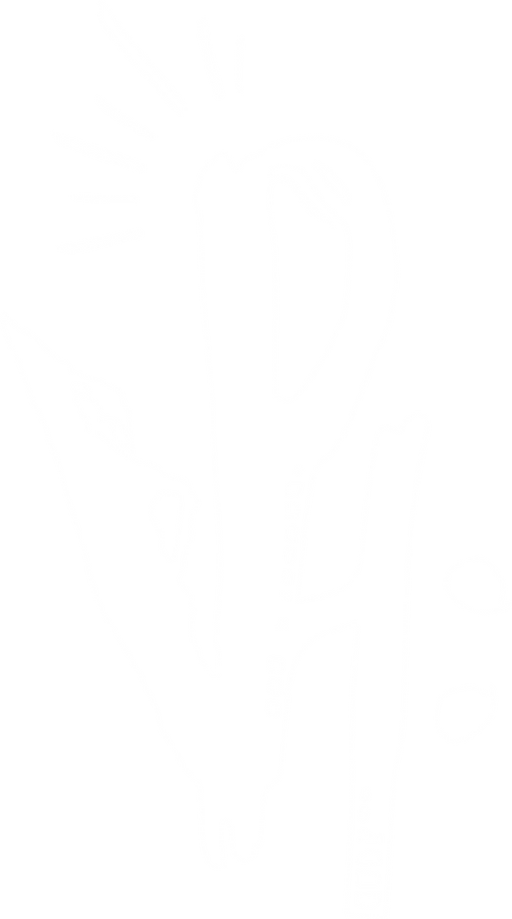 vph logo - 2.png