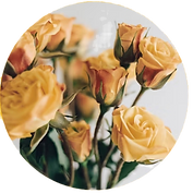 IMG_1549_edited.png