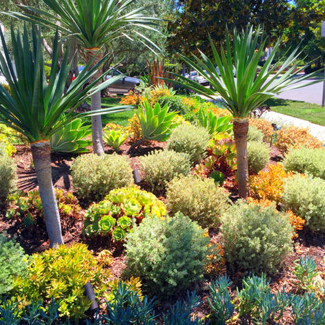 Water-Wise Landscape Design