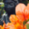 Orange Bougainvilla by Sonia Keshishian Photography