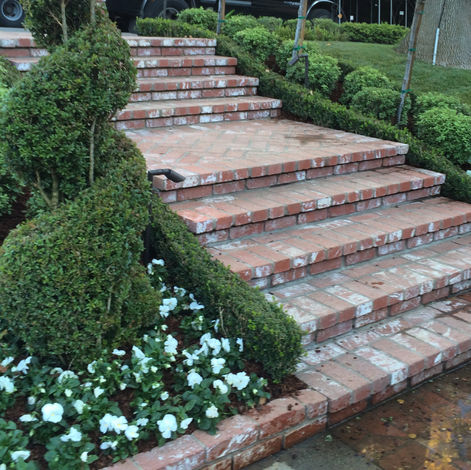 Landscape & Pavers