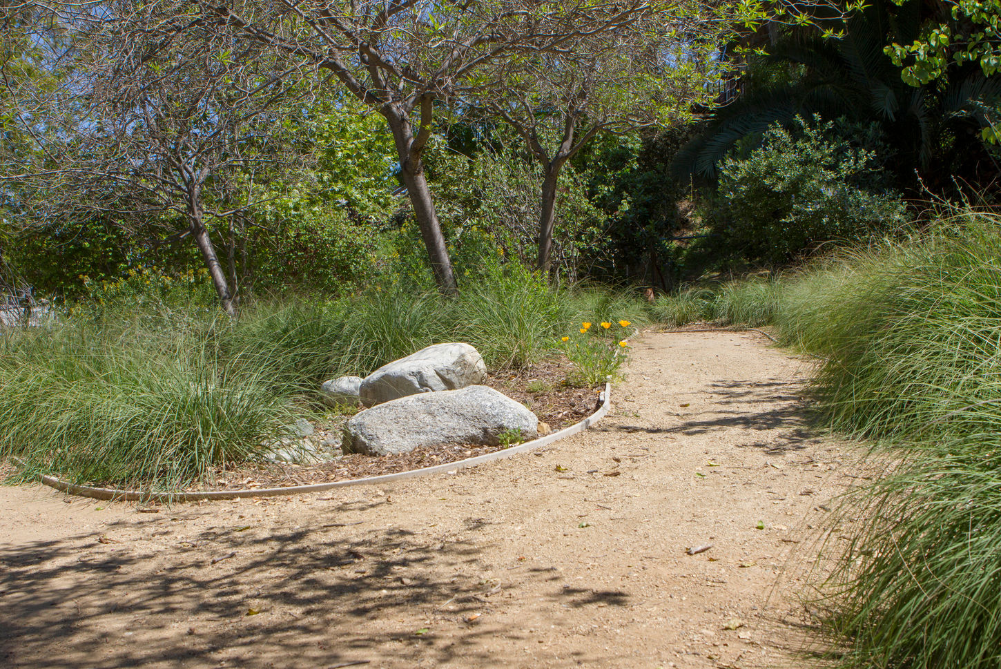 SCBA The Oasis Project