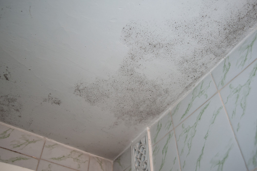 Bathroom Ceiling Mould