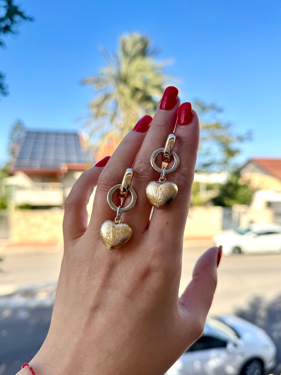 Thumbnail: Earrings “bicolour”