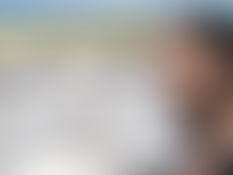 La obra está vinculada al abogado y activista John Moreno Rutowsky, apoderado legal de la empresa PV y Asociados S. de R.L. de C.V., señalada como responsable del desarrollo.