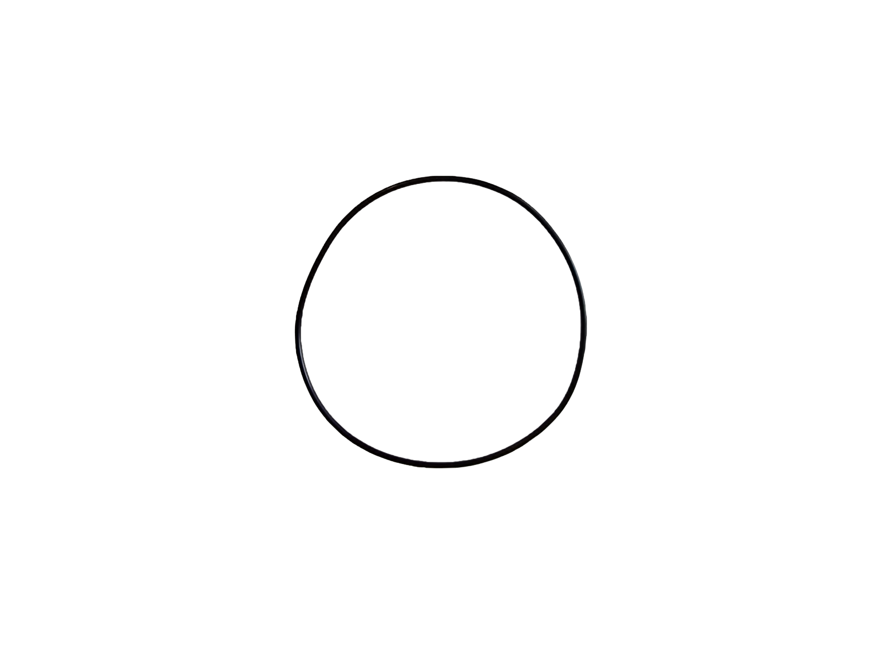 Edifice Packing/O-Ring 10338766