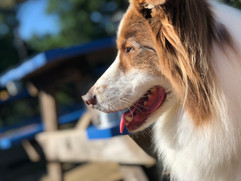 Big Kona.JPEG